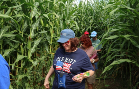 Fly Creek Corn Maze, NY