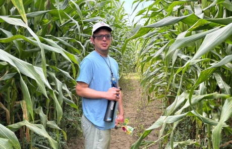 Fly Creek Crop Maze, Cooperstown NY