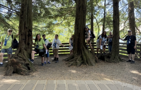 Travelers on the Salmon walk in Ketchikan Alaska, having fun in the trees.